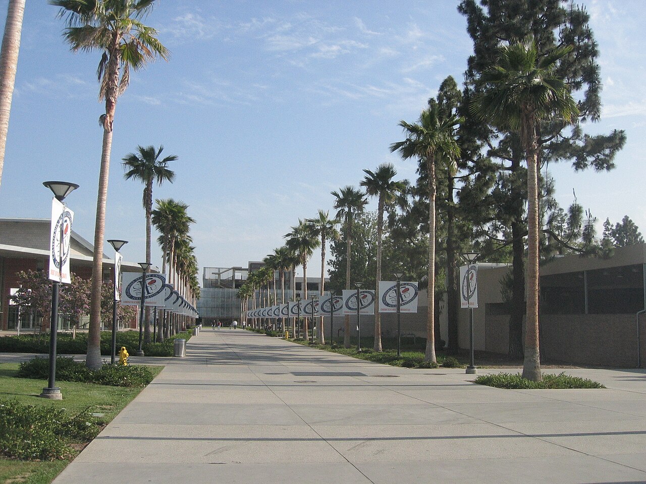 Palm-lined walkway on the Cal State Fullerton campus, Fullerton California