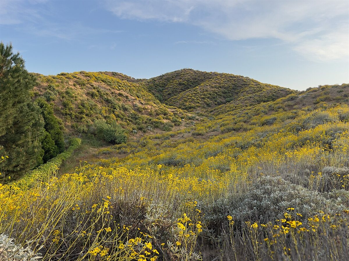 Hills and chaparral landscape in San Jacinto, California